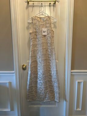 Endless Rose Cream Crochet Maxi Dress